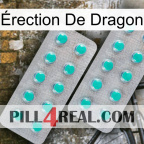 Érection De Dragon 29